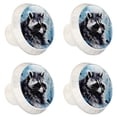 thumbnail image 2 of 4 Pcs Raccoon Knobs for Kitchen Cabinet Cupboard Dresser Bookcase Drawer Pulls Handles Round Home Decor, 2 of 8