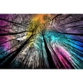 thumbnail image 1 of Puzle El bosque de Bgramiens bajo la noche estrellada, 1000 piezas, para adultos, 1 of 9