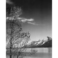 thumbnail image 2 of Adams, Ansel 26x32 White Modern Wood Framed Museum Art Print Titled - View of mountains with tree in foreground, Grand Teton National Park, Wyoming, 1941, 2 of 4