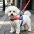 thumbnail image 6 of Dog Harness No Pull, TOUMENY Breathable Adjustable Soft Mesh Dog Vest Harness, Reflective Outdoor Walking Chest Strap for Small Medium Dogs Training, Red, 6 of 6