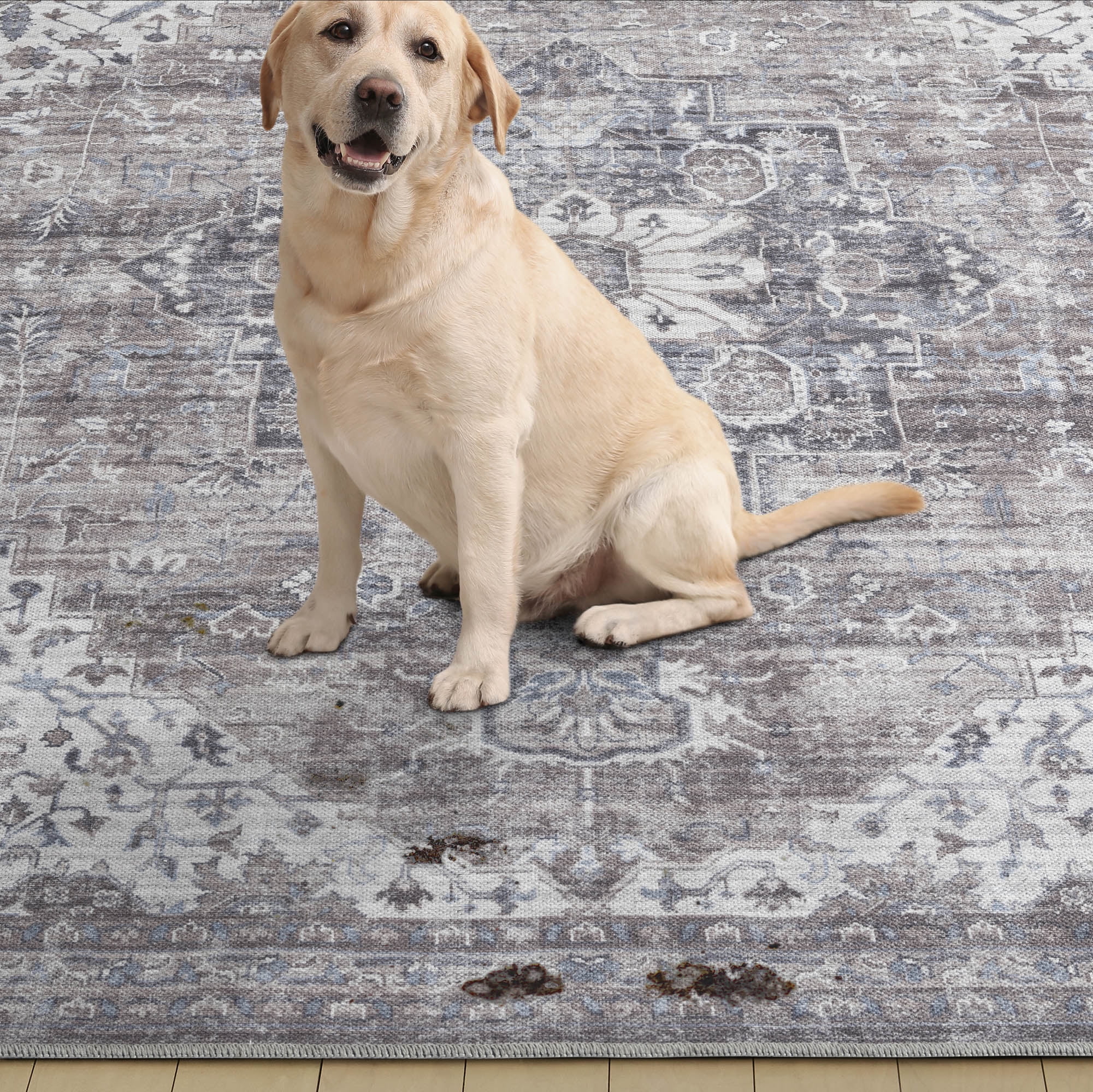 Everwash™ Callaghan Esther Bohemian Medallion Machine Washable Area Rug, Grey, 3'11"x5'6"