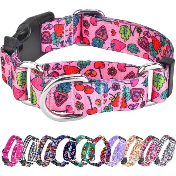shiyou-Summer Dog Collar for Small Medium Large Dogs, Adjustable Nylon Fruit Pattern Martingale Collars with Quick Release Buckle (Pink Strawberry,S)