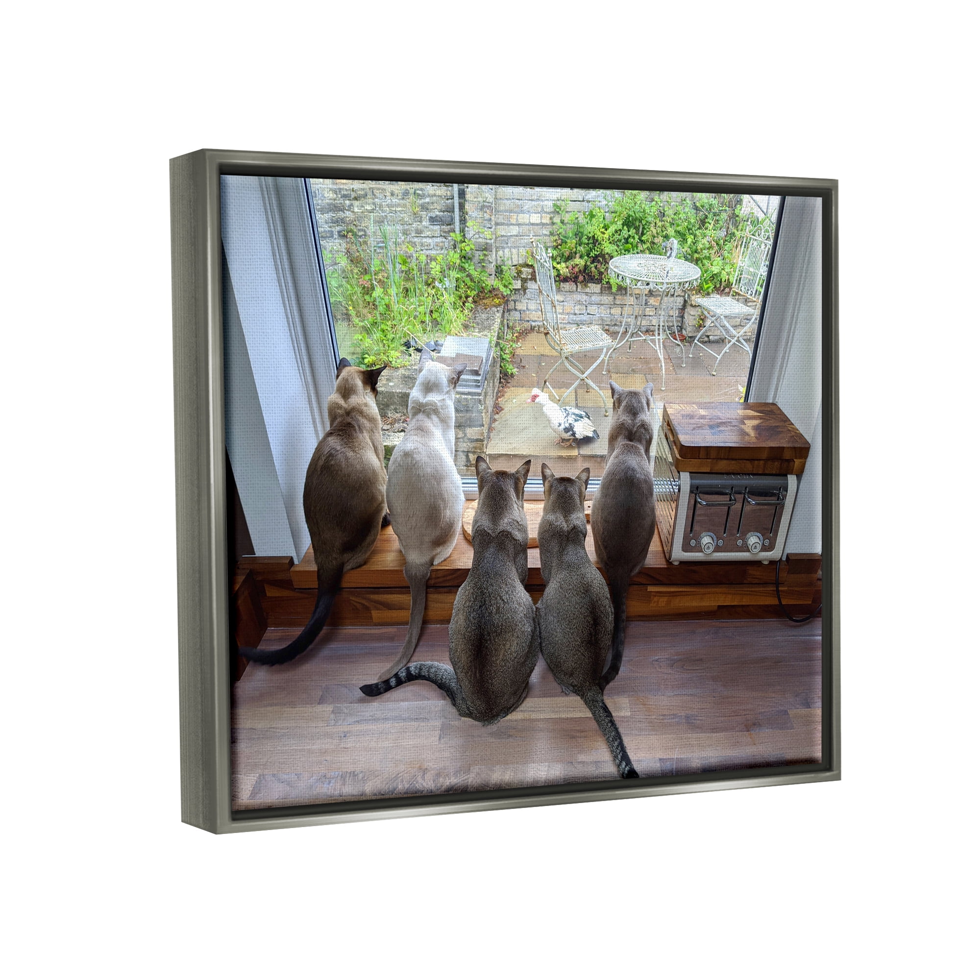 Stupell Industries Cats Watching Bird at Window Animals & Insects Photography Gray Floater Framed Canvas Art Print Wall Art, 21 x 17