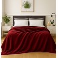 thumbnail image 1 of Frazada Cobija Súper Suave Premium |  Cobertor Liso | Soft Nature, 1 of 5