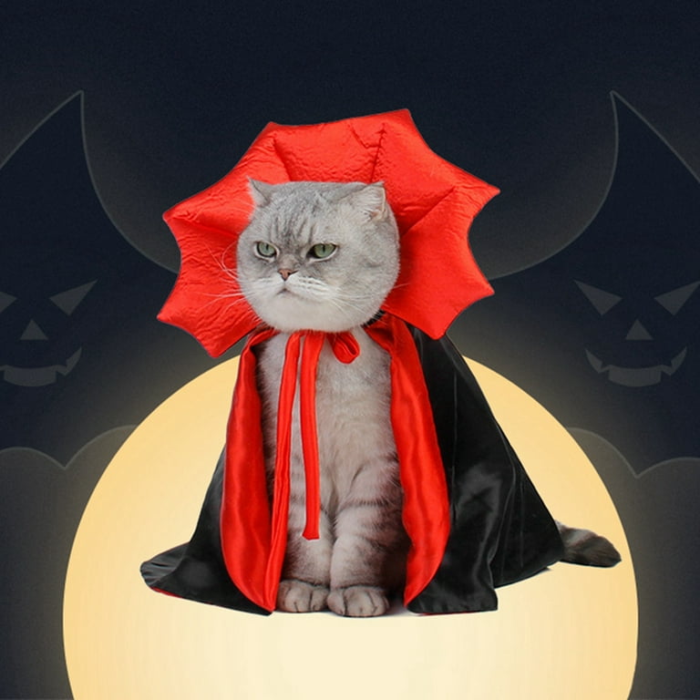 Cat 2025 vampire costume