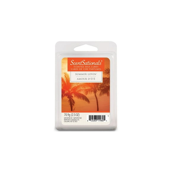 Cubes de cire parfumée ScentSationals - L'Amour d'été 2,5 fois (70,9 g)