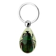 thumbnail image 1 of Naiovety Llavero con forma de insecto brillante, llavero con especímenes de animales, regalo coleccionable de resina para amigos y familiares Suministros de limpieza para el hogar No.1 Naiovety HA044516-01, 1 of 1