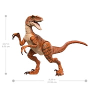 Jurassic World Hammond Collection Velociraptor Tiger Dinosaur Action Figure, 13 Points Articulation
