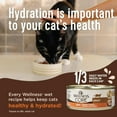 Wellness CORE+ Digestive Health GrainFree Natural Wet Cat Food, Sensitive Stomach, Easily