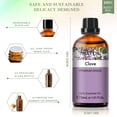 thumbnail image 3 of PHATOIL Clove Essential Oils for Diffusers Humidifier Massage Bath Sleep Relaxation 30ml/1.01 fl.Oz, 3 of 7