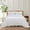 White, variant on Move Over Beige Grey Ruffle Comforter Set Queen Boho Bedding Sets 2 Layers Beige White Long Ruffled Pattern Microfiber Filling Farmhouse Duvet