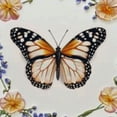 thumbnail image 6 of nygtbtfer  Round Tablecloth with Butterfly, Elastic Tablecloth for Round Tables, Outdoor, Dining, Kitchen, Wedding 54-58, 6 of 8