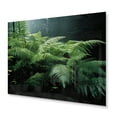 thumbnail image 2 of Designart "A Close Up Photo of Ferns II" Floral Metal Wall Decor, 2 of 5