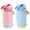 Sky+Charm Pink, variant on 12oz Kids Water Bottle 2 Pack, Stainless Steel Insulated Water Bottle Bulk, Toddler Cups with Straws Leak-Proof, Kids Water Bottles for School Boys Girls, BPA Free, Sky+Charm Pink 2 Piece Set