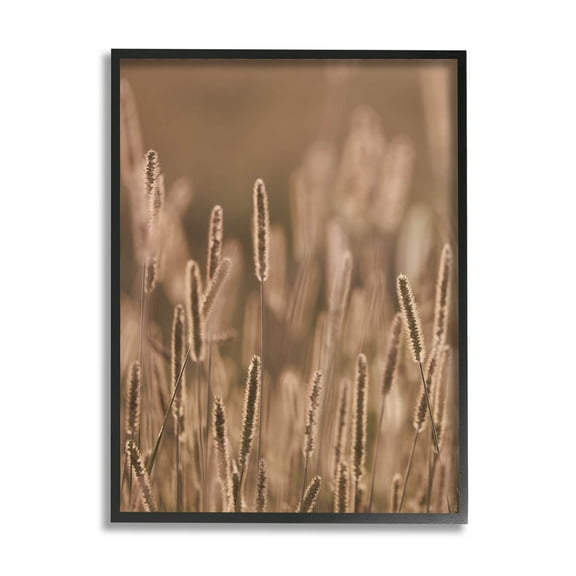 Rural Wheat Field Nature Botanical & Floral Photograph Black Framed Art Print Wall Art