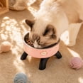 thumbnail image 3 of Elevated Stainless Steel Cat Food Bowl, 2 Pack Raised Feeding Dish for Cats, Non-Slip Printed Pet Bowls for Food and Water(5.71*5.71*3.35in,Pink), 3 of 4