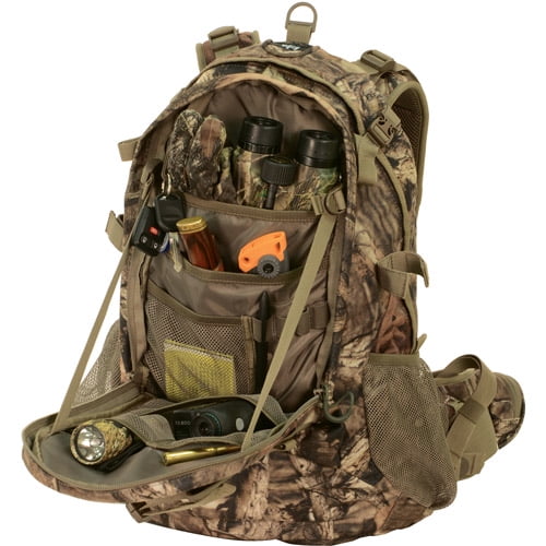 Alps Mountaineering Pursuit Backpack