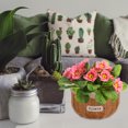 thumbnail image 4 of HEMOTON Khaki Artificial Rattan Planter for Indoor Plants and Home Organization with Durable Texture 12.5x12.5x15 Inches, 4 of 8