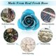 thumbnail image 4 of Forever Rose, 24K Gold Foil Eternal Rose with Display Stand in Box Silver Artificial Rose Flowers for Mom, Lover, Women Thanksgiving Day, Christmas, B, 4 of 5