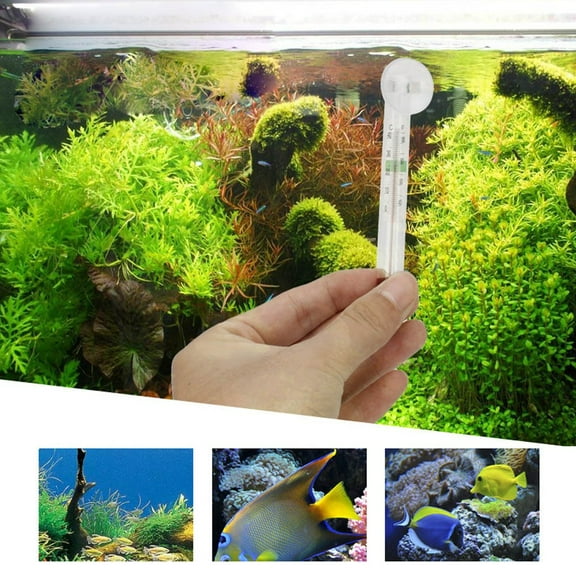 Floating Aquarium Thermometer – Glass, Mercury-Free Fish Tank Thermometer, Safe Thermometer for Fish Tank, Ideal for Freshwater and Saltwater Aquariums