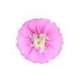 thumbnail image 1 of Moyic Flores de papel Decoraciones florales para pared Adorno de bricolaje hecho a mano Conveniente Flores de boda de colores Rosa 20 cm Type1 NO1, 1 of 6