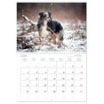 thumbnail image 5 of Dog soul (Monthly Wall Calendar 2026 16.5 x 23.4 (open)), CALVENDO 14 Month Calendar, 5 of 9