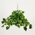 thumbnail image 3 of Nearly Natural Pre-Lit Philodendron Artificial Plant - 24" - Warm White LED Lights, 3 of 8