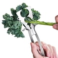 thumbnail image 2 of Stainless Steel Herb Stripper Tool Vegetable Kale Chard Rosemary Leaf Stripping, 2 of 6
