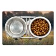 thumbnail image 1 of Farm Animal Pet Mat for Food and Water, Picturesque Palomino and Chestnut Horse Run Fast at Meadow with Wild Flowers, Non-Slip Rubber Mat for Dogs and Cats, 18" X 12", by Ambesonne, 1 of 2