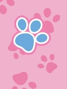 Paw Patrol Brave Girls Club Nap Mat, Pink , 21 x 46, Polyester