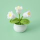 thumbnail image 1 of Lirio de lana de ganchillo, orquídea, maceta pequeña, fresca, artística, simulación de escritorio, planta, adornos suculentos, 1 of 5