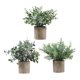 thumbnail image 2 of Plantas artificiales en maceta Strade Fareast Limited 3 piezas, 2 of 5