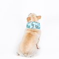 thumbnail image 3 of LLC Collier Bandana de Refroidissement pour Chiens avec Packs de Glace Recyclables, 3 of 3