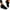 Black, variant on 2025 Clearance under $5 asdoklhq Sneakers for Women Sandals Stretch Cloth Large Size Women's Summer Comfortable Casual Sports Shoes Black 36