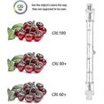thumbnail image 3 of 5pcs 500w R7s Linear Halogen Floodlight J118 500w Double Ended Security Light Bulb 118mm Length, 3 of 5