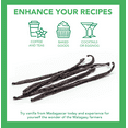 thumbnail image 6 of Slofoodgroup Extract Grade B Madagascar Vanilla Beans - 25 Whole Beans, 6 of 6