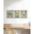 thumbnail image 5 of HAUS AND HUES Butterfly Poster Vintage -Set of 3 Vintage Nature Posters Butterfly Art Vintage Botanical Prints Posters for Room Aesthetic Vintage Butterfly Pictures Wall Decor UNFRAMED (8"x10"), 5 of 6