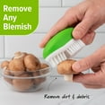 thumbnail image 2 of Prep Solutions Fruit & Veggie Cleaning Palm Style Green Brush, 2 of 7