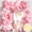 Pink, variant on Mxdfafa 118-piece Butterfly Pink and Purple Themed Balloon Arch Set. Perfect for birthday and festival decorations, suitable for girls, ladies, Mother's Day and other festivals.