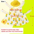 thumbnail image 3 of Conjunto de piezas de chaleco y correa de arnés de animales pequeños, chaleco de arnés de pecho para mascotas pequeñas, chaleco para caminar para conejo, hurón, conejo, taza de té, caniche, gatito Ormromra 220891-1, 3 of 8