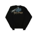 thumbnail image 1 of Harry Potter Womens Full Colour Logo Sweatshirt, 1 of 3