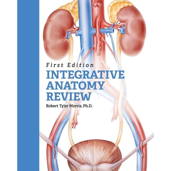Integrative Anatomy Review, (Paperback)
