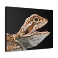 thumbnail image 2 of Smiling Bearded Dragon Baby Close Up Print Animal Wall Art Wildlife Canvas Prints Wall Art Ready to Hang Unframed, 2 of 18