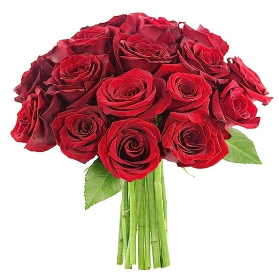 KaBloom: 18 Red Roses, Next-Day Delivery, Gift for Every Occasion.