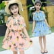 thumbnail image 2 of Vestido de gasa sin mangas con estampado de piña para niñas pequeñas, 2 of 4