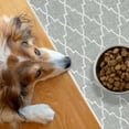 thumbnail image 1 of SussexHome Pets Ultra-Thin Cat and Dog Litter Mat for Litter Box - Washable Soft Natural Cotton Cat and Dog Litter Trapping Mat - Paws-Kind Slip Resistant Litter Catching Mat, 1 of 6