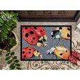 thumbnail image 3 of Carolines Treasures 8876MAT Paillasson Intérieur Ou Extérieur Multiple - 18 x 27 Po., 3 of 4