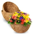 thumbnail image 1 of (3) Pre-Molded Coco Plant Liners 10 inches Round Coco Replacement Hanging Basket Natural Formed Coconut Fiber Planter Liners for Home Hanging Garden Flower Vegetables Pot & Custom Storage Carrier, 1 of 7