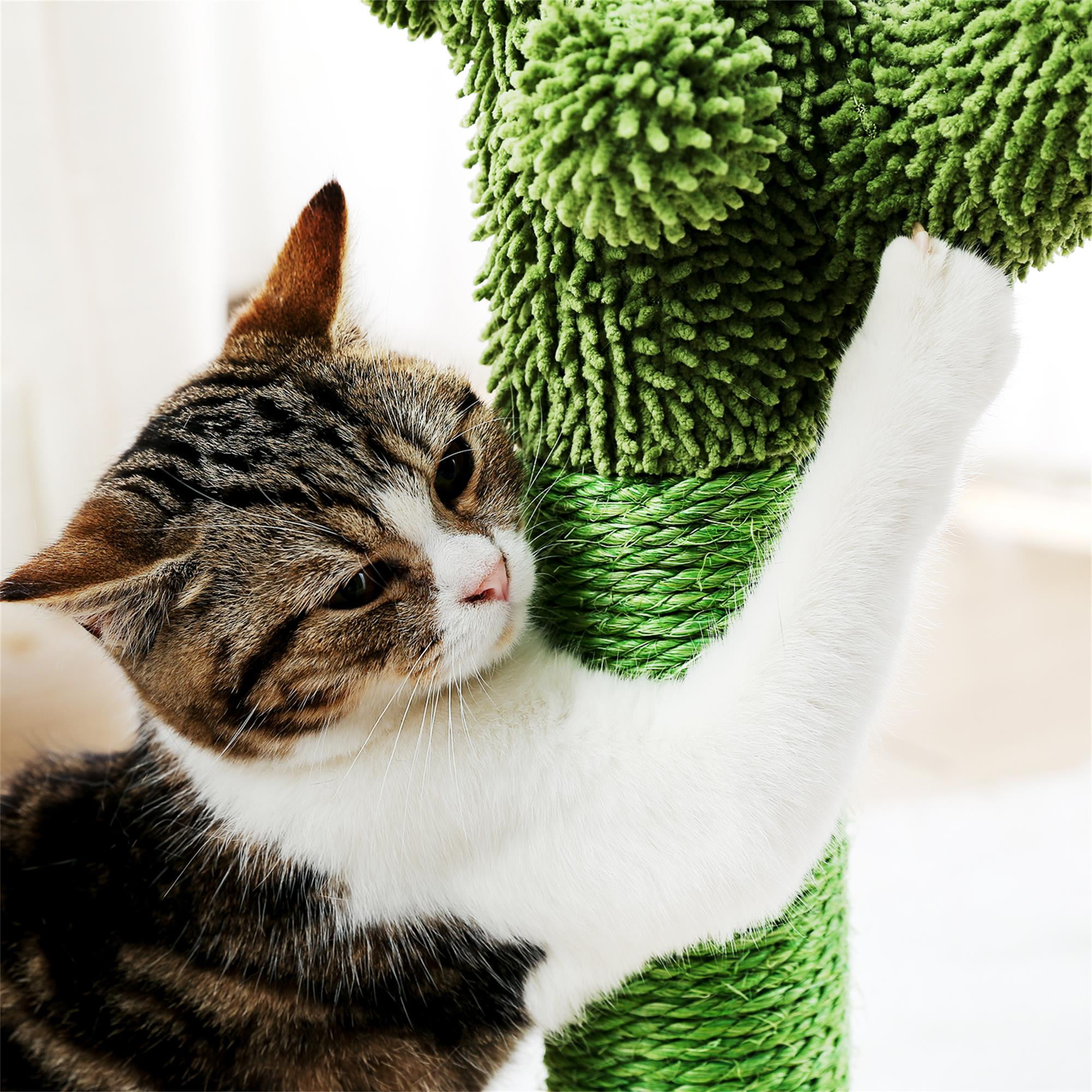 Kadyn 20" Cat Scratching Post, Cactus Cat Scratcher Kitten Scratch Post for Indoor Cats, Claw Cat Tree with Dangling Ball for Kitties, Green