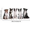 thumbnail image 2 of Wallmonkeys Five Border Collie Dogs Peel and Stick Wall Decals WM79693 (48 in W x 21 in H), 2 of 4